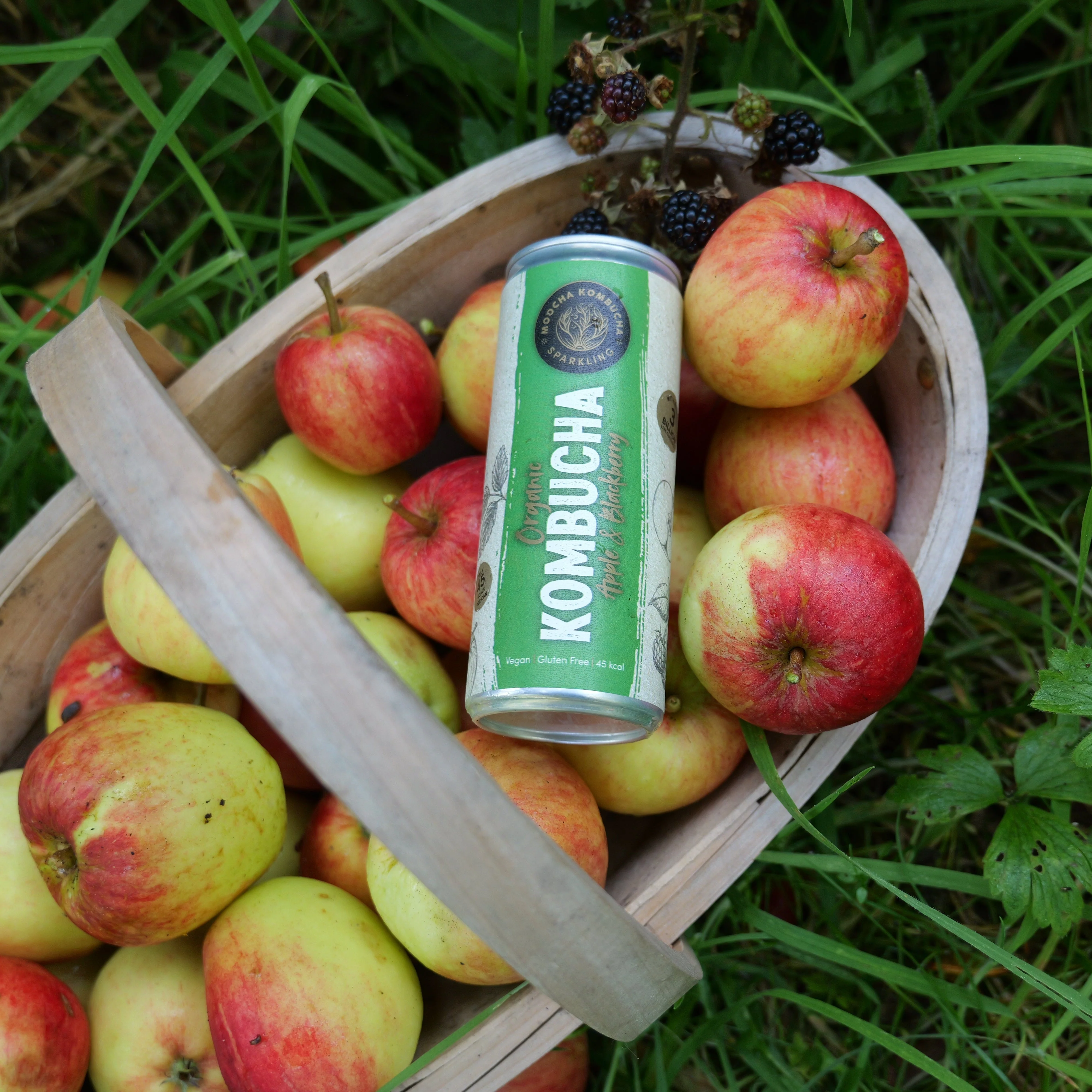 Apple & Blackberry Flavour Organic Kombucha - Image 3