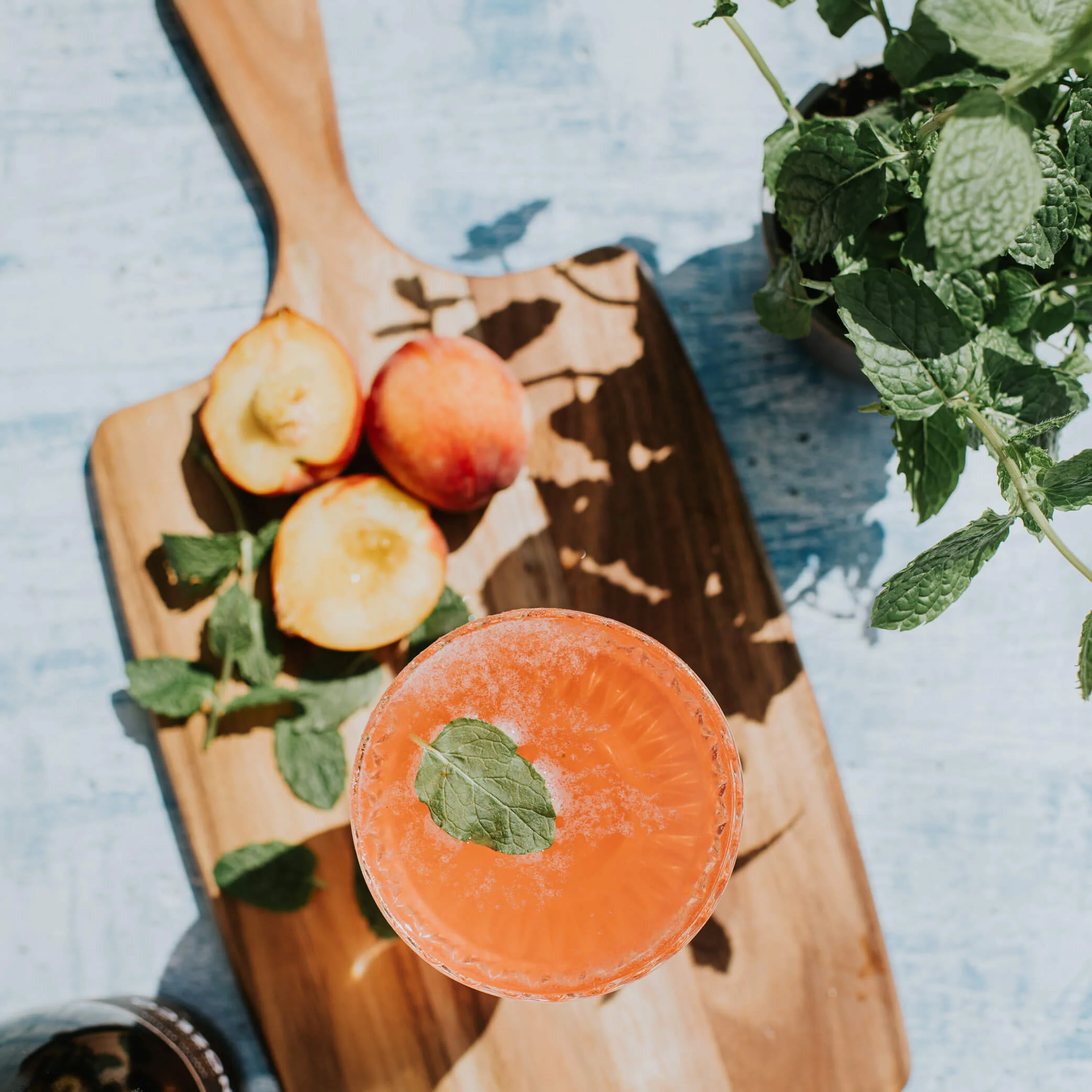 Peach & Turmeric Flavour Organic Kombucha - Image 5